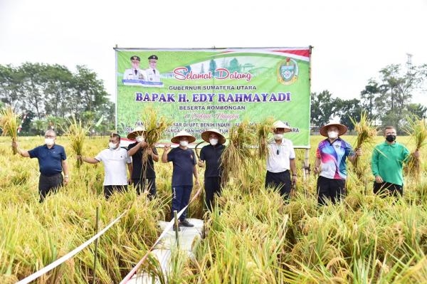 Kembangkan Benih Padi, Gubernur Edy Rahmayadi Berharap Bisa Penuhi Kebutuhan Sumut